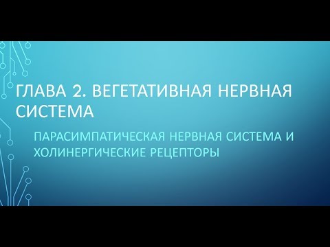 Физиология. Глава 2. ВНС. Часть 4. Парасимпатическая нервная система и холинорецепторы.