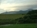 夢の中 / BO GUMBOS