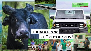 A Tamaraw for the Tamaraw
