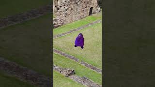 We Caught Evil Grimmace Shake Dancing On The Drone