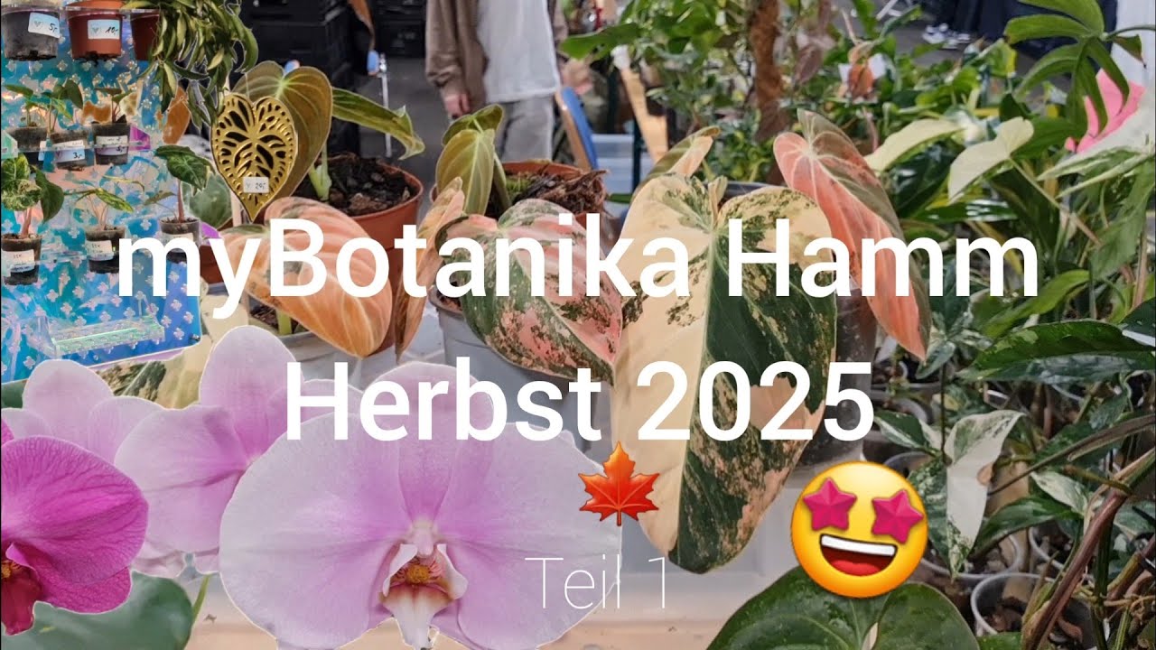 myBotanika Hamm 🌱 | Herbst 2025 🍁 | Teil 1 💚