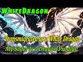 Transmigrated as a White Dragon | My Sister Is a Dragon Prodigy#webnovel #anime #fantasy #isekai