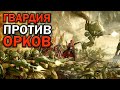 Имперская Гвардия  против Орков: битва у красной речки в Warhammer 40000 Dawn of War: Soulstorm