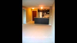 Meridian Gate #331 -- 9288 Odlin Road, Richmond