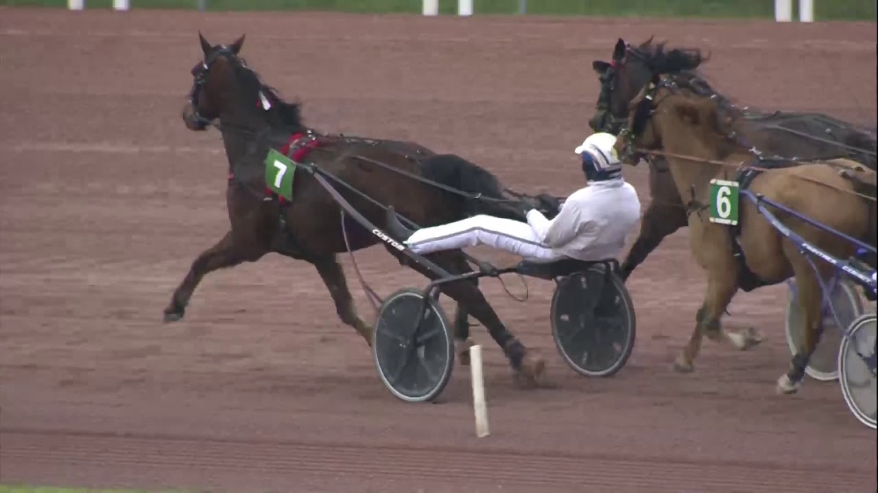 Hippodrome de Wallonie Mons (België) 05-02-2021 Selectieproef 2 Hurricane - Piet van Pollaert