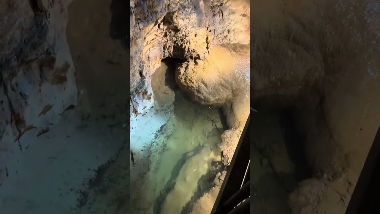 Mystery Cave in Forrestville, MN