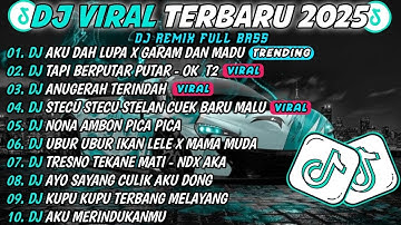 DJ TIKTOK TERBARU 2025 SLOW BASS 🎵DJ AKU DAH LUPA X GARAM DAN MADU🎵 DJ TAPI BERPUTAR PUTAR - OK T2🎵