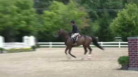 Video of MAVERICK ridden by ELIZABETH WEXLER from ...
