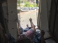 83 year old Patricia releases the butterflies she raised in her room at the Morning Light Home.
