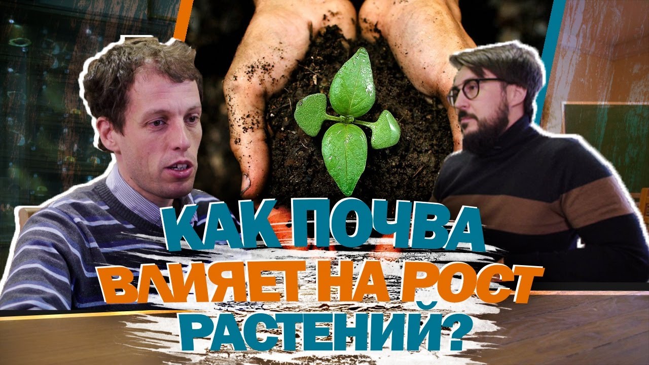 Какой ТИП ПОЧВЫ выбрать? | Вся правда о почве #2