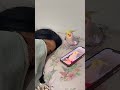 This Bird Wakes Up His Owner in the Funniest Way! 🥹