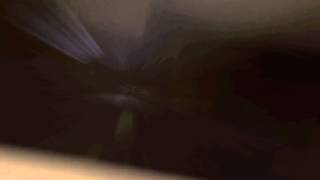 4AM - The Whole Town Is Sleeping (Sex, Darwinism & The Jungles Of Hades)