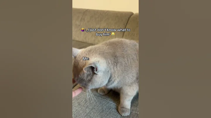 The perfect gift💨🎁 #porsche #ferrari #lamborghini #bmw #audi #mercedes #carsoftiktok #cartok