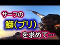 【2021】毎年恒例「サーフ鰤チャレンジ」に挑戦してきました【ライトショアジギング】