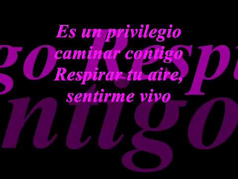 Un Privilegio-Pepe Aguilar 2011 con letra.wmv