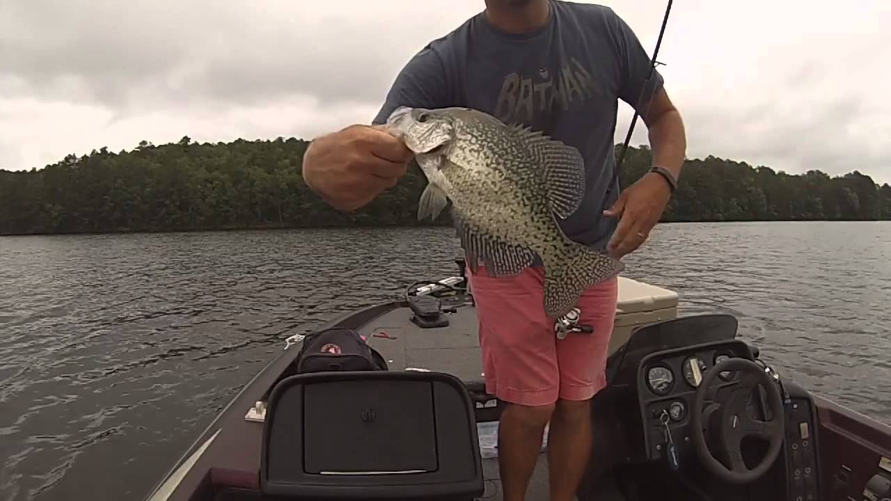 Lake Hamilton Crappie and Bream Fishing YouTube