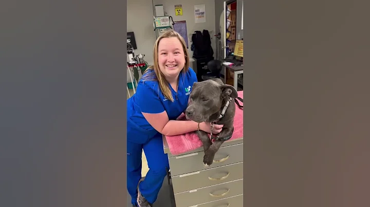 Orion recently experienced a fire incident and suffered from smoke inhalation.