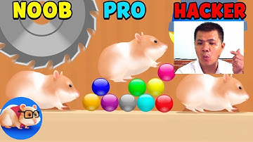 NOOB vs PRO vs HACKER in Hamster Maze - All Levels Gameplay Android, iOS - Kids TV Channel