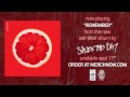 Saves The Day "Remember"