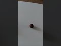 전vs후