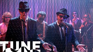 The Rawhide Song | The Blues Brothers (1980) | TUNE