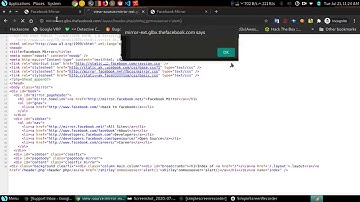 Reflected XSS in (Facebook Mirror) websites [*.thefacebook.com and *.facebook.net]