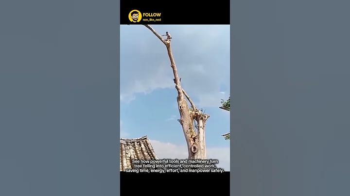 The Most Satisfying Processes video You'll See Today 🔥