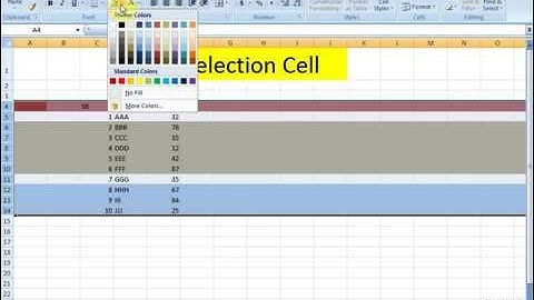 Lesson # 41 The Selection Microsoft Office Excel 2007 TutorialUrdu & Hindi   YouTube
