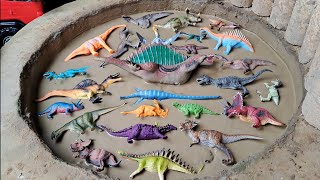Dinossauros de Plástico Presos na Lama Anquilossauro Triceratops Estiracossauro Braquiossauro by DINOSSAURO ANIMAL 12,863 views 11 days ago 12 minutes, 12 seconds