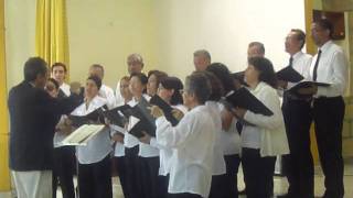 NOCHE MILAGROSA -FRAGMENTO SALVADOR DE ISRAEL -DICIEMBRE 18/2011