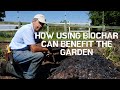 How using Biochar can benefit the garden