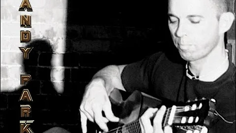Randy Parks Solo Bass Player Performing at Fundrai...