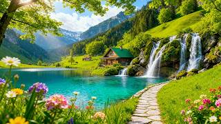Relax Your Mind & Melt Stress Away Fast 🍃Piano Music & Birdsong to Rest Your Mind 🕊️ Peaceful N... screenshot 4