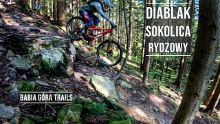 Za wysokie progi - Diablak, Sokolica, Rydzowy - Babia Góra Trails