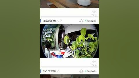 Video hướng dẫn cài đặt thiết lập ghi hình cho camera ip wi-fi yoosee