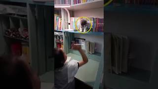 I Caught My Cat FREAKING OUT Over Stationery!