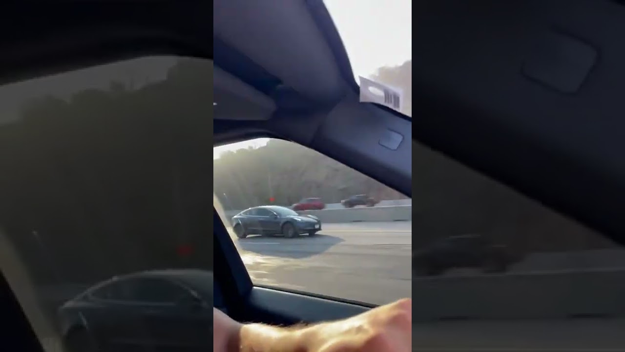 Brute De Force - Winners keep their dysfunction to themselves