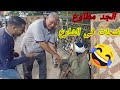 حبيبه بنت طنطا اشتغلت شحاته فى الشارع!! ضحك السنين