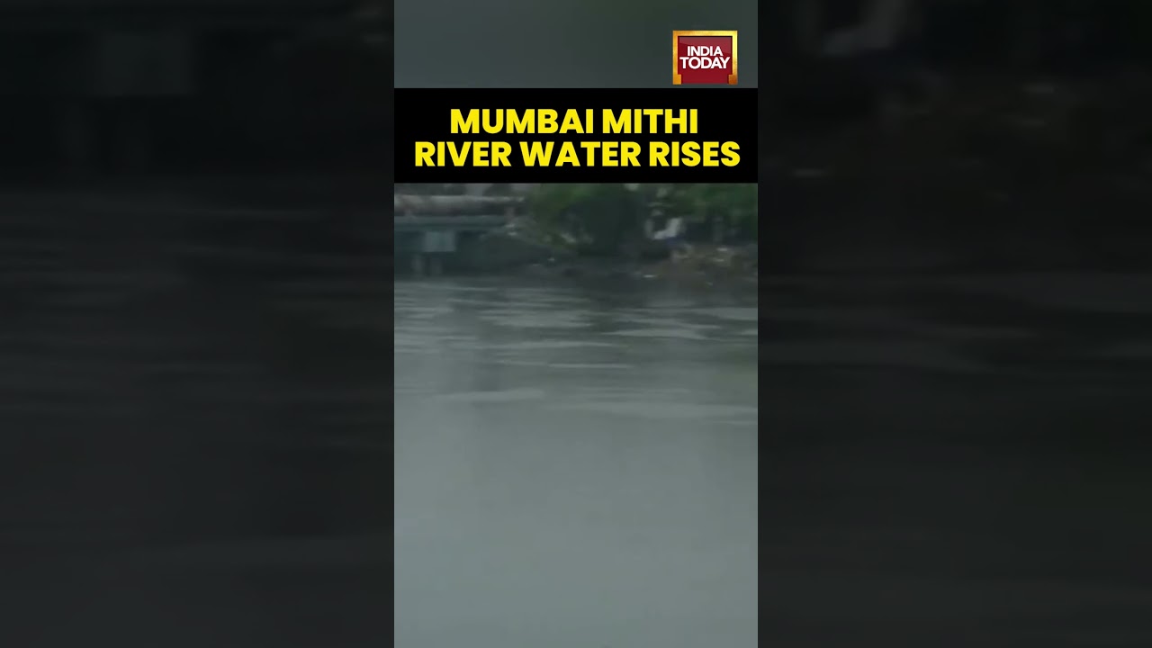 Water level of Mithi River rises in Mumbai, Maharashtra following incessant rainfall in the region