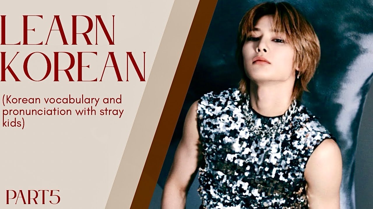 Learn Korean with Stray Kids– LALALALA | Part 5 | Korean through k-pop