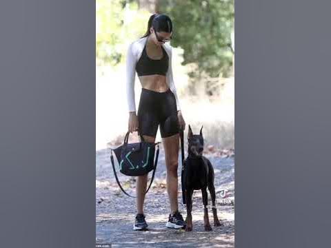 Kendall Jenner’s DOGS — DOBERMANN - YouTube