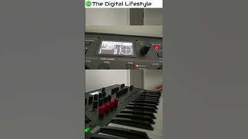 Genesis Fading Lights Warm String Patch for the Korg Modwave