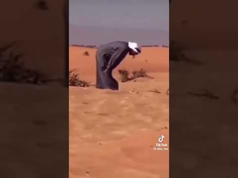 الشيخ محمد بن زايد الامارات العربية المتحده اكسبلور بلوچستان دبي ابوظبي عمان السعودية