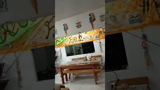 Amo muito..muito❤️🇧🇷🙏🏻 natividade nosso cantinho meu 😍