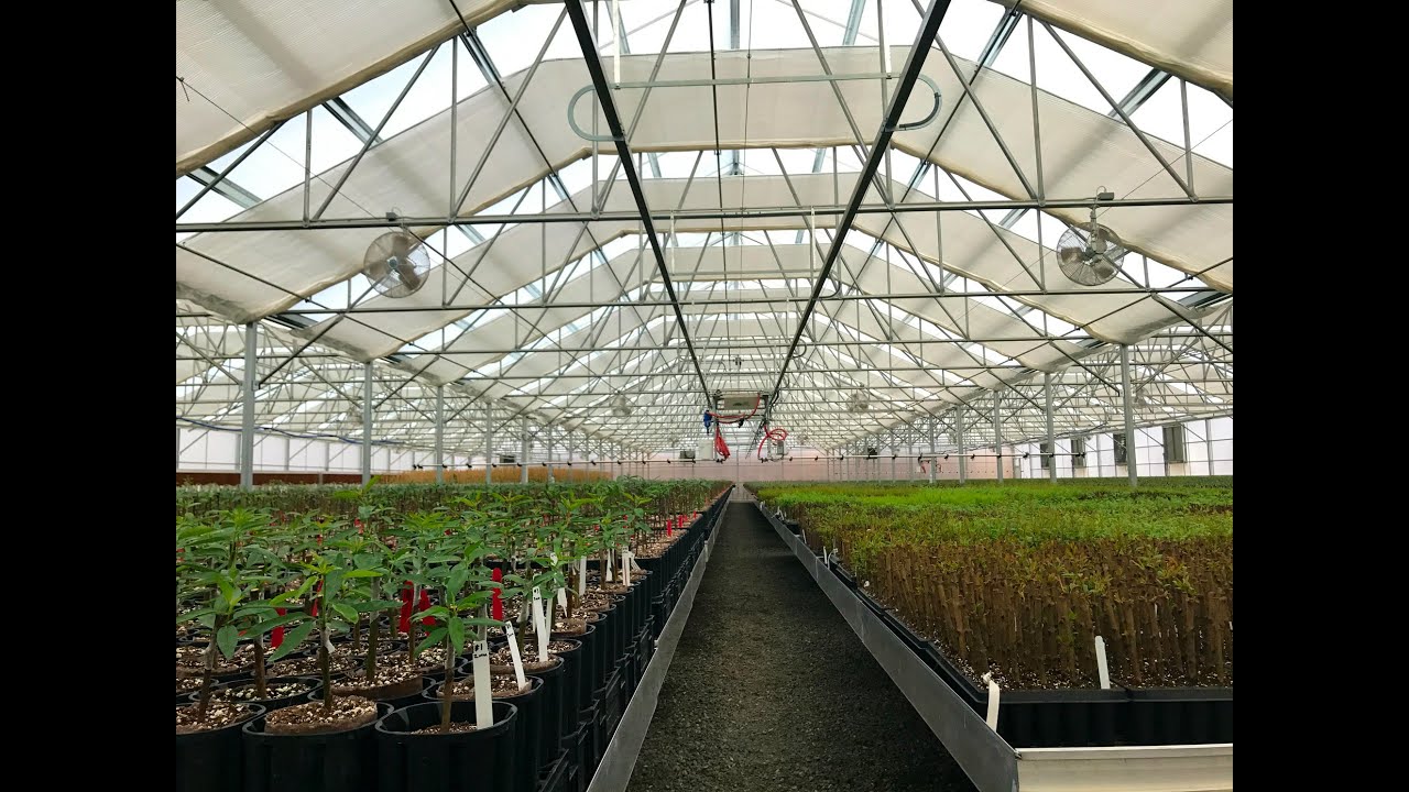 Best in Greenhouse Innovation in design YouTube