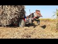 Tractor Stunts | Three Mf 385 struggling to pull out heavy loaded sugarcane trolley | Power Show