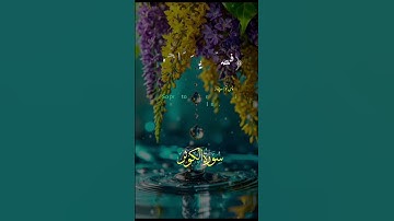 #سورة_الكوثر #دويتو #الجزائر #اكسبلور #السعودية #لايك #اكسبلورر #حالات_واتس #اكسبلورفولو #ترند