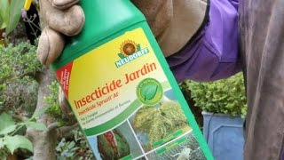 COMMENT BIEN UTILISER UN INSECTICIDE NATUREL