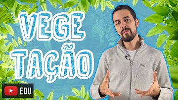 Que depende a vegetação?