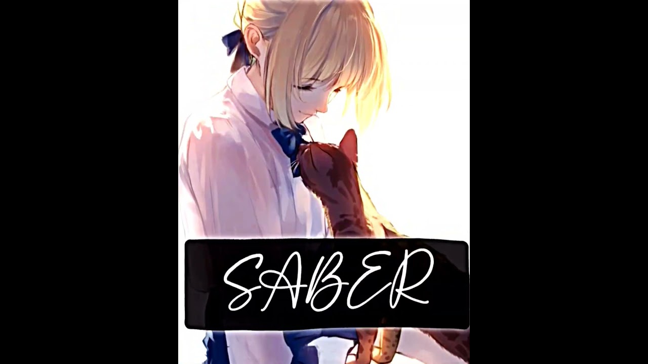 Saber VS Emiya Shirou Writing Wise 